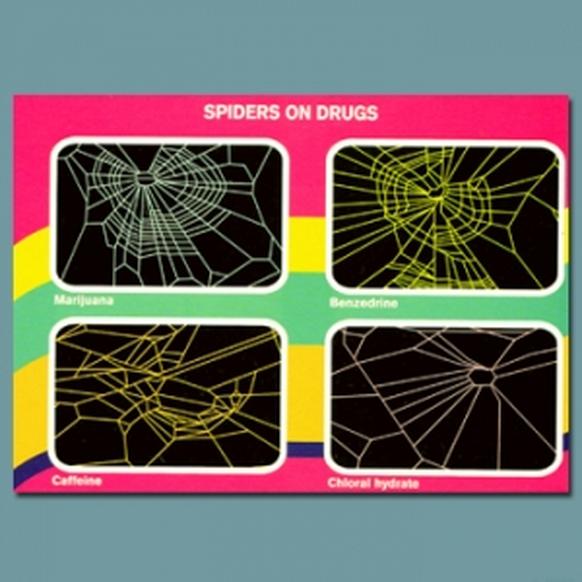 Spiders On Drugs 